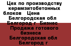 Цех по производству керамзитобетонных блоков › Цена ­ 2 700 000 - Белгородская обл., Белгород г. Бизнес » Продажа готового бизнеса   . Белгородская обл.,Белгород г.